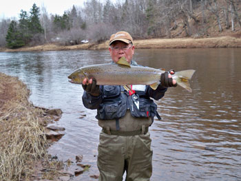 salmon fishing